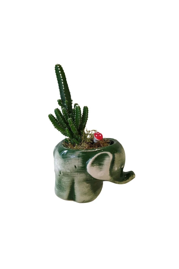 Seramik Fil Saksıda Kaktüs - Dekoratif - Hediye ürün görseli