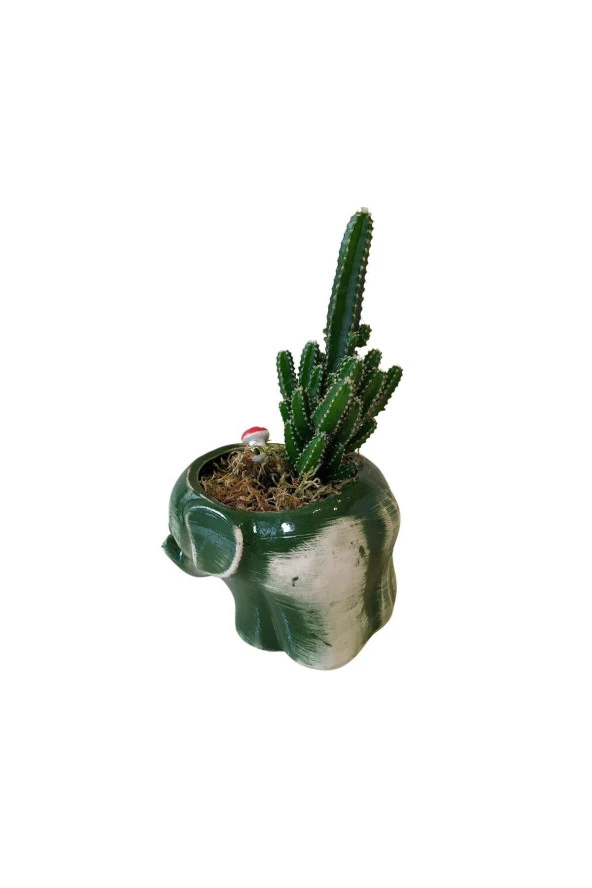 Seramik Fil Saksıda Kaktüs - Dekoratif - Hediye - Resim 5
