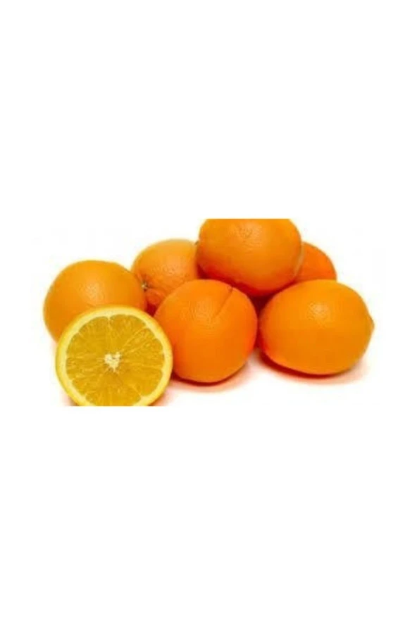 Tüplü Navel Portakal Fidanı