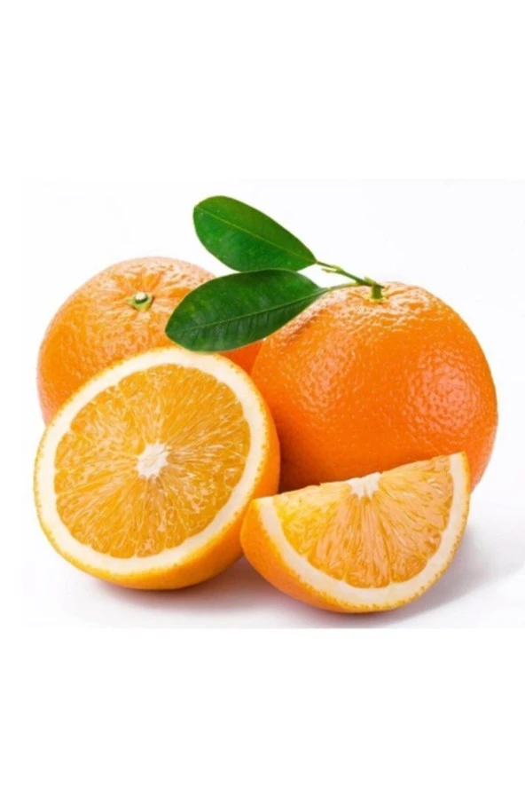 Washington Portakal Fidanı ürün görseli