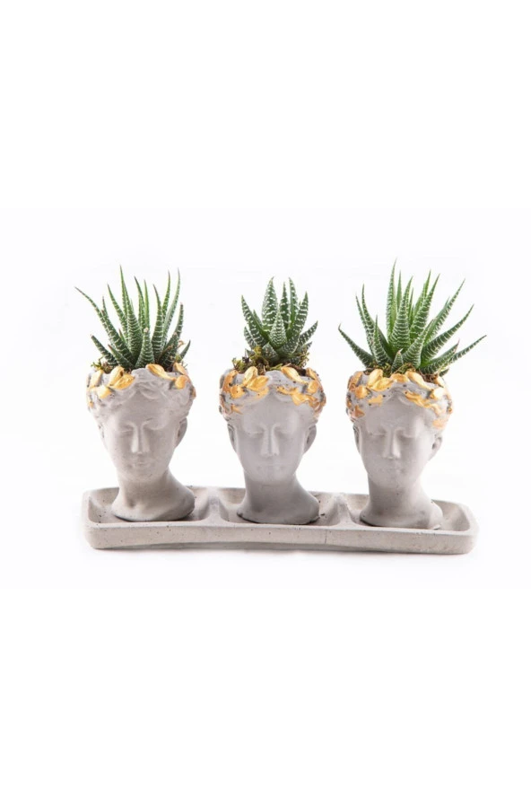 Trio 3 'lü Helen Howarita ürün görseli