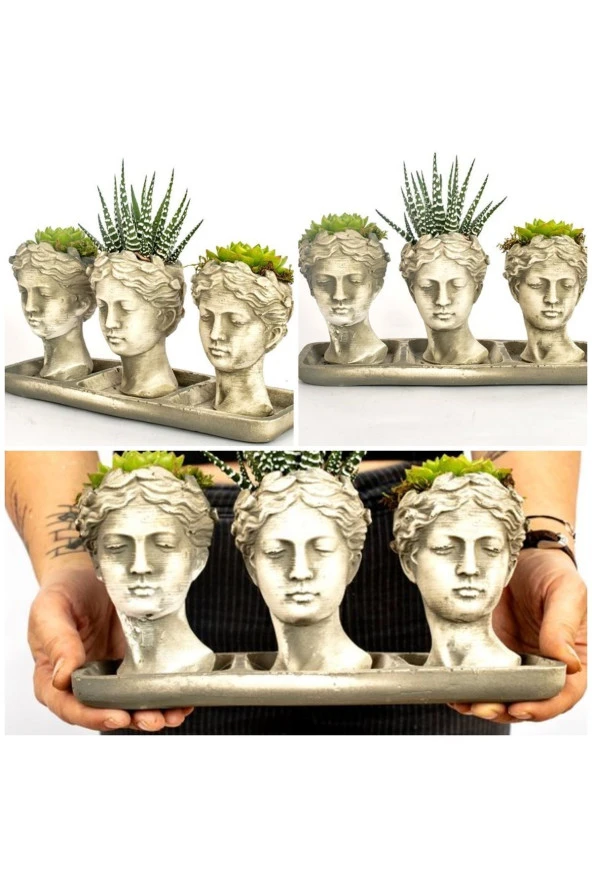 3'lü Helen sukulent kaktüs seti ürün görseli