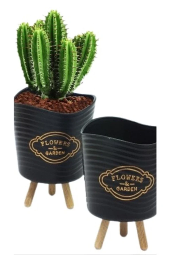 Dekoratif Saksıda Kaktüs ürün görseli