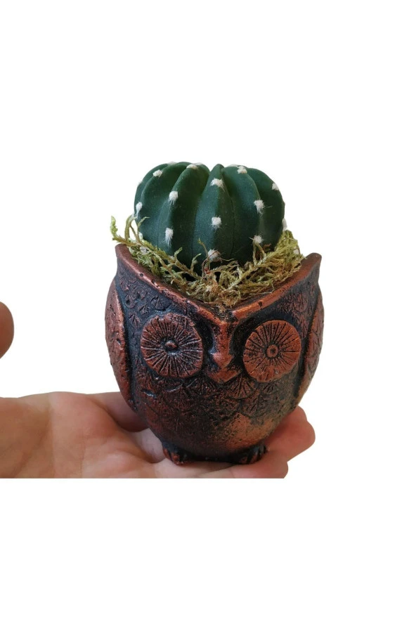 Baykuş Saksıda Kaktüs - Dekoratif Tasarım Saksı - Resim 2