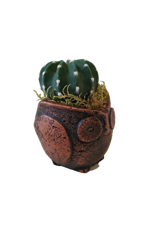 Baykuş Saksıda Kaktüs - Dekoratif Tasarım Saksı - Resim 4