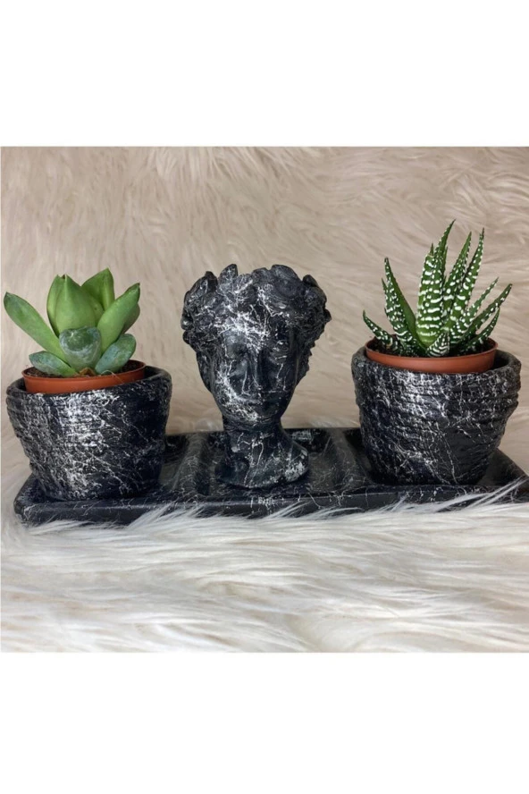 Helen Büst Saksı Üçlü Siyah Beton Taş Saksı Kaktüs Çiçek Bitki Süs Ev Bahçe Dekorasyon ürün görseli