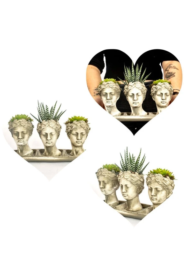 3'lü Helen sukulent kaktüs seti ürün görseli