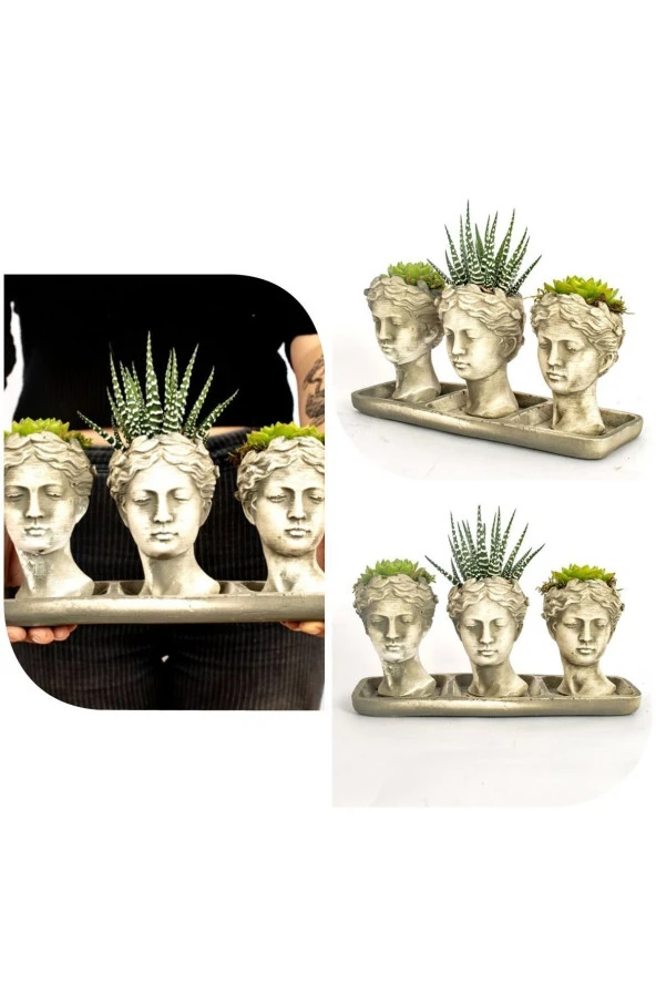 3'lü Helen sukulent kaktüs seti ürün görseli