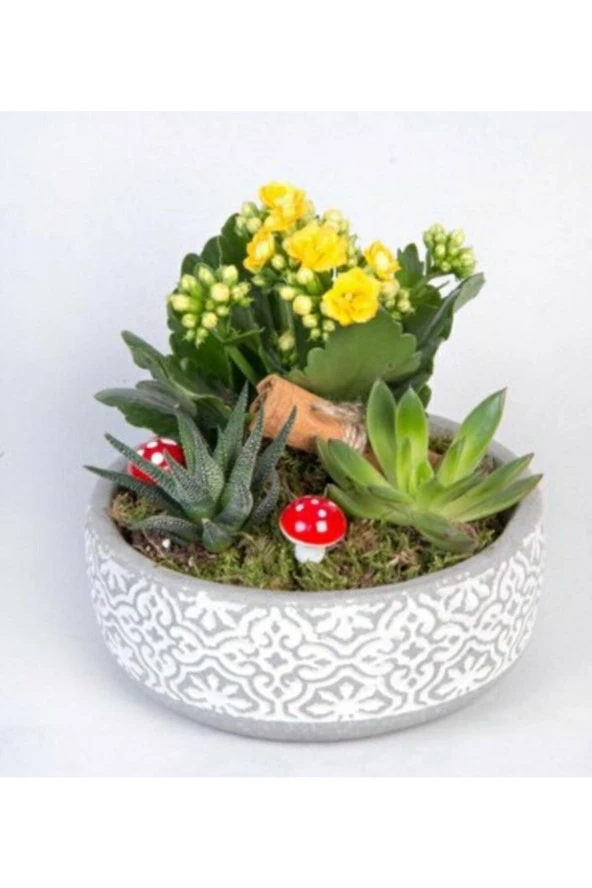 Beton Saksıda Eskitme Vazo ürün görseli