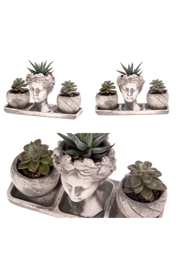 Anneler Gününe Özel Helen Seti Ve 2 Hediye Sululent ürün görseli