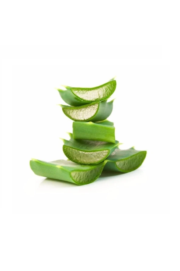 Aloe Vera Jel Için Doğal Yaprak 1. Kalite 3 Kg - 3