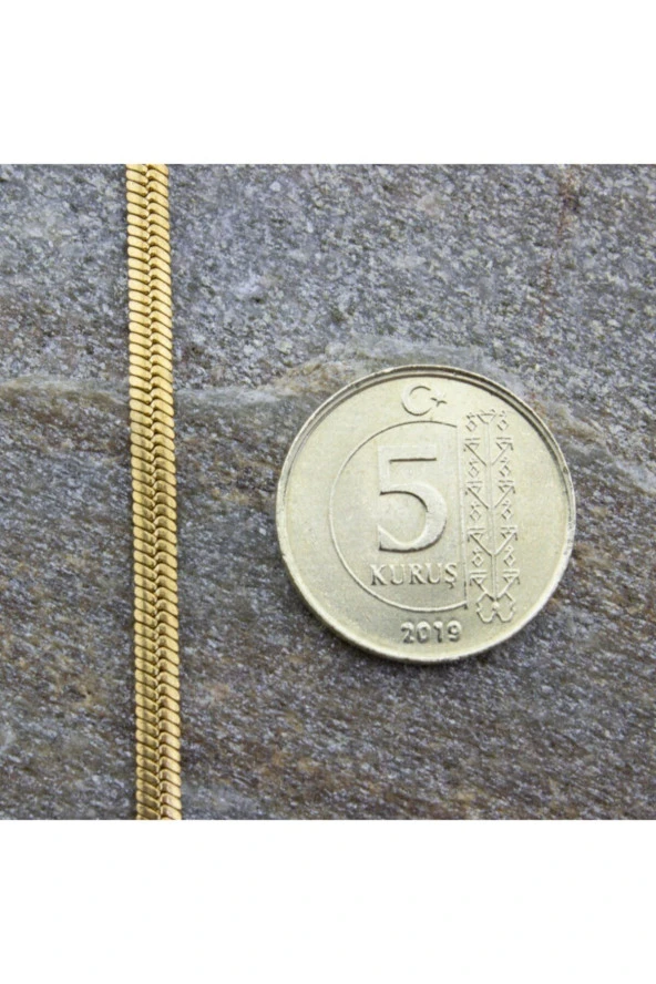 Altın Renk Italyan Yassı Balık Sırtı Zincir Çelik Kolye Ince 60 Cm - 3