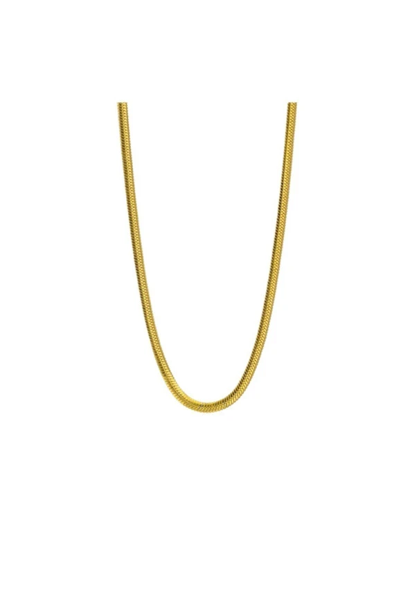 Altın Renk Italyan Yassı Balık Sırtı Zincir Çelik Kolye Ince 60 Cm - 4
