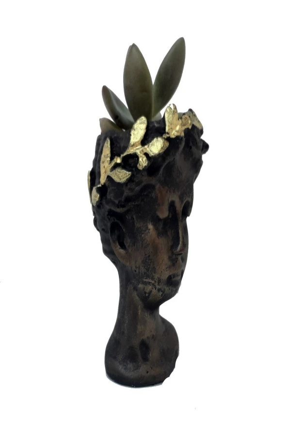 Helen Skulent Ve Kaktüs Saksısı - Resim 3