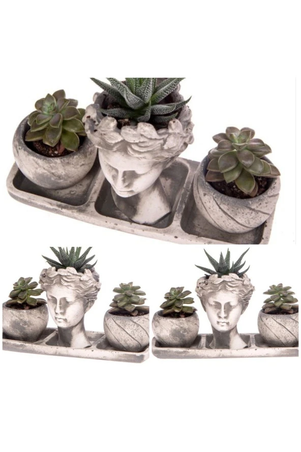 Anneler Gününe Özel Helen Seti Ve 2 Hediye Sululent ürün görseli