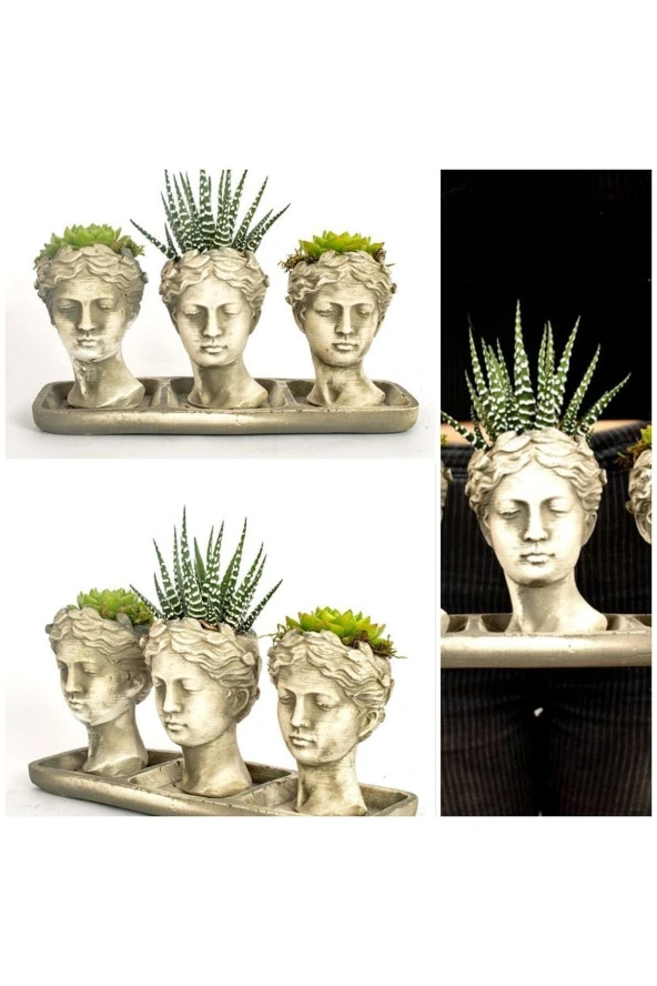 3'lü Helen Sukulent Kaktüs Seti ürün görseli