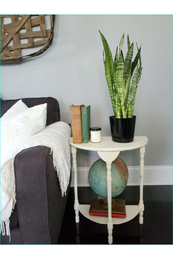 Peygamber Kılıcı Paşa Kılıcı Dekoratif Özel Saksılı ürün görseli