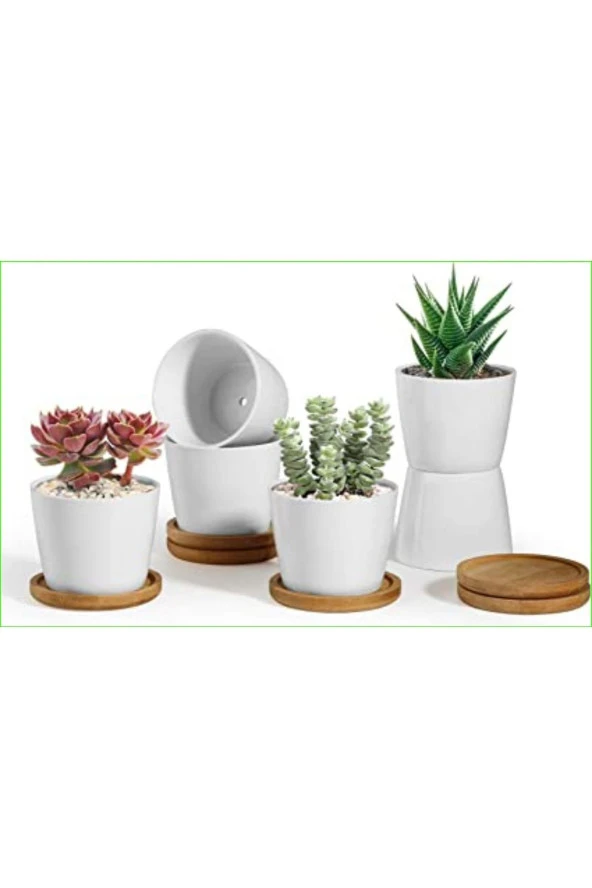 3 Adet Seramik Saksıda Kaktüs Ve Sukulent Altlıksız ürün görseli
