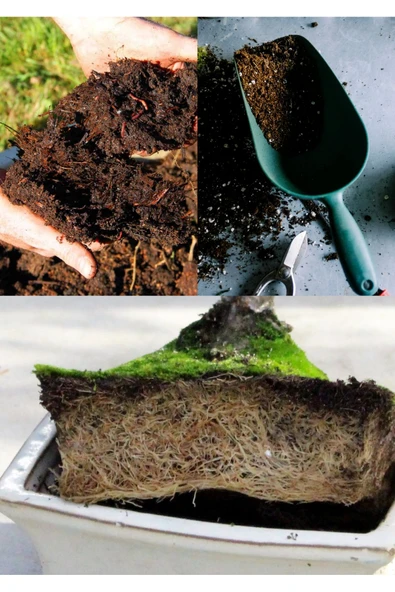 5 litre Bonsai Toprağı %100 Organik ve Katkısız Torf 17 Bitkinin Çözülmesinden Oluşmuş - 2