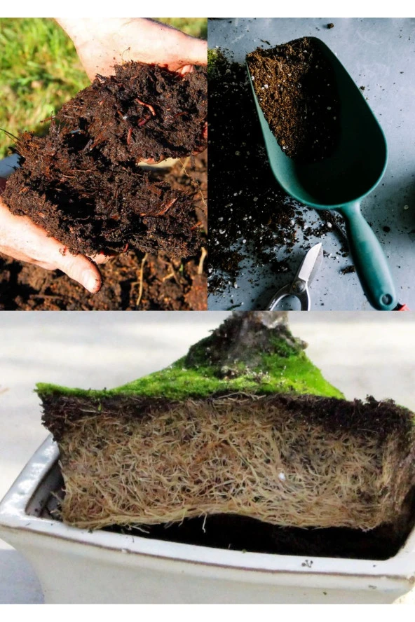 15 litre Bonsai Toprağı %100 Organik ve Katkısız Torf 17 Bitkinin Çözülmesinden Oluşmuş - 2