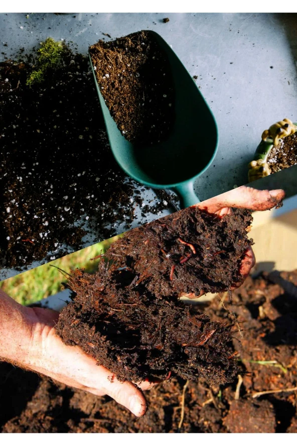 20 litre Bonsai Toprağı %100 Organik ve Katkısız Torf 17 Bitkinin Çözülmesinden Oluşmuş - 2