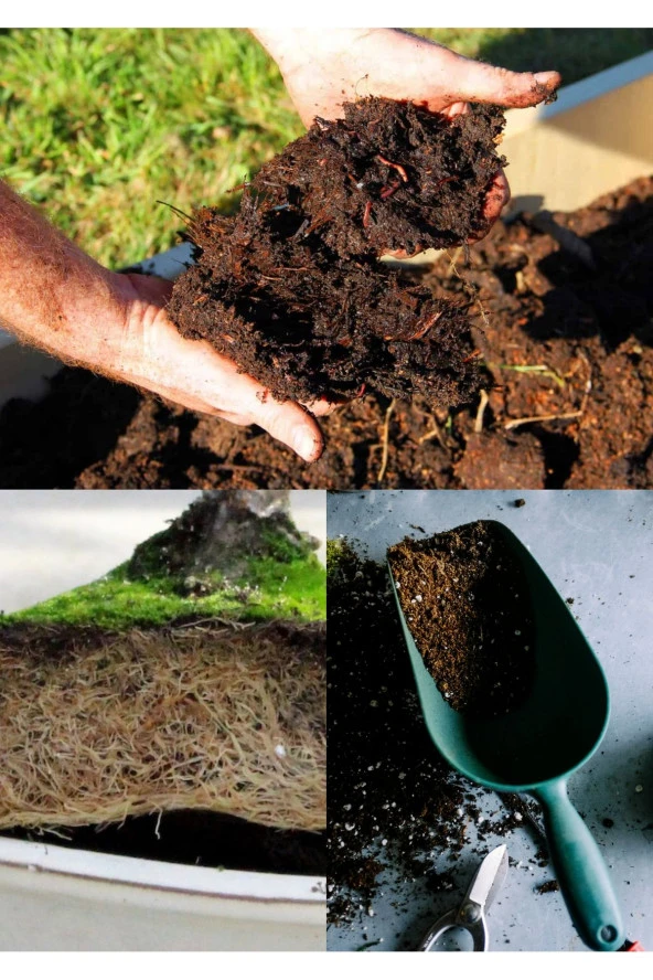 15 litre Bonsai Toprağı %100 Organik ve Katkısız Torf 17 Bitkinin Çözülmesinden Oluşmuş - 3
