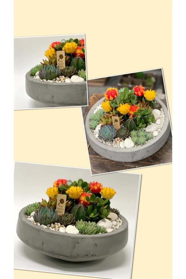 Gri Oval Beton ve Bonsai Saksısı Çiçek Desen Ağız Çap 20-30 cm çap - 1