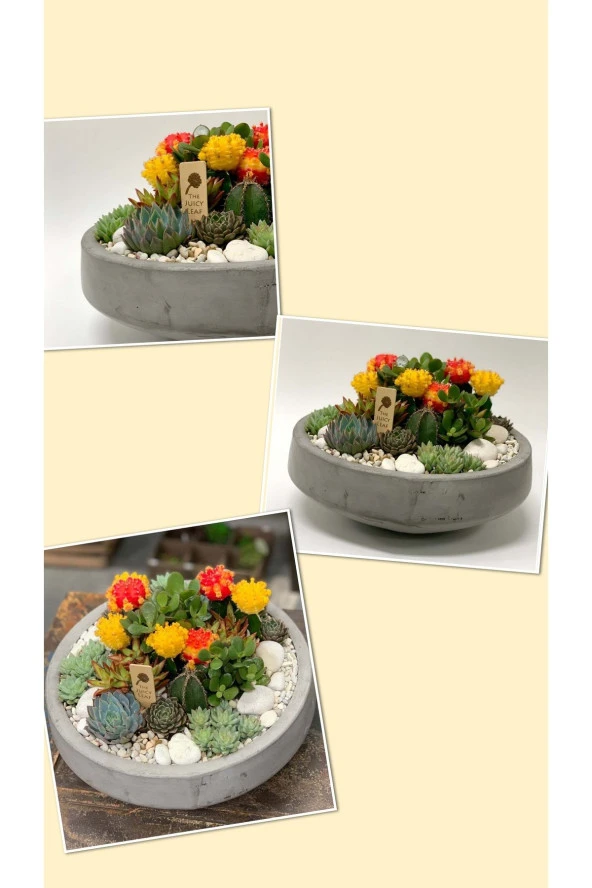Gri Oval Beton ve Bonsai Saksısı Çiçek Desen Ağız Çap 20-30 cm çap - 2