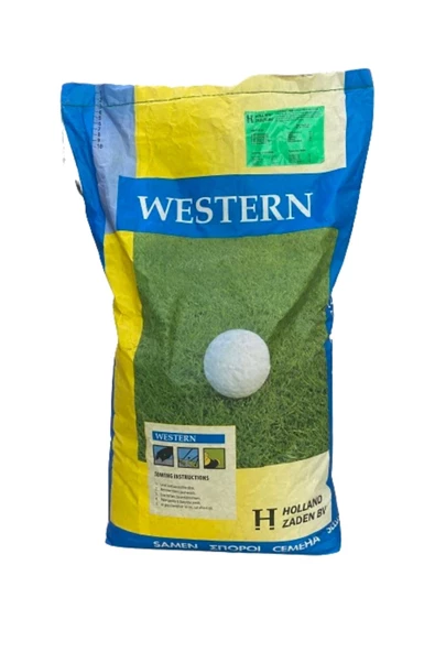 5'li Karışım İthal Çim Tohumu 5 Kg - 2
