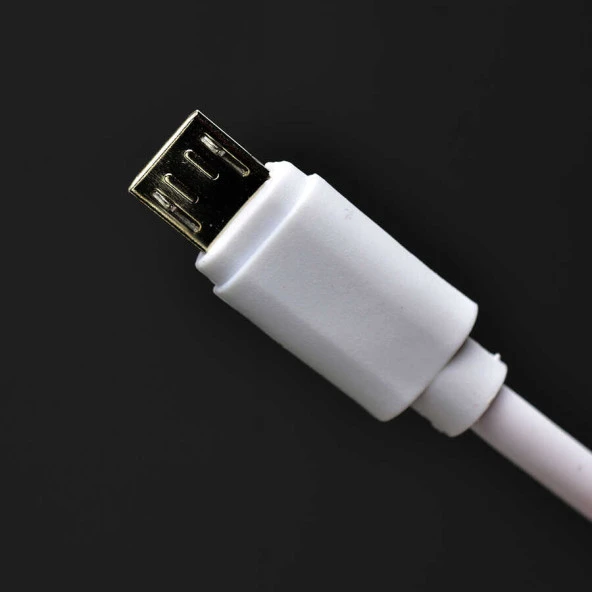 Metro Serisi ZR-TC01 Micro 2 in 1 Şarj Seti - Resim 4