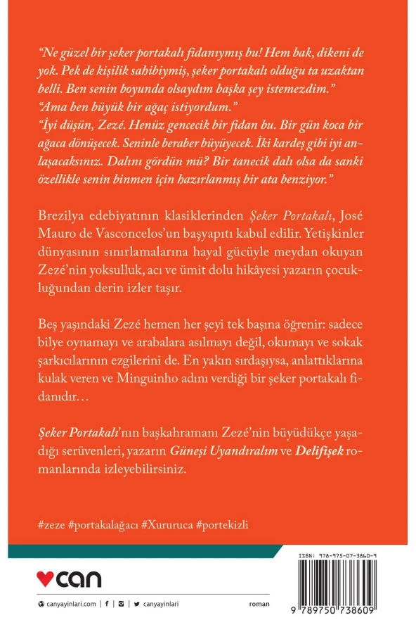 Şeker Portakalı - 3