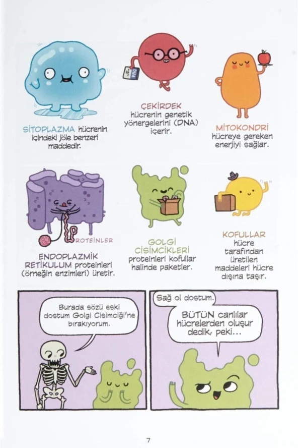 Insan Vücudu Tiyatrosu - 5