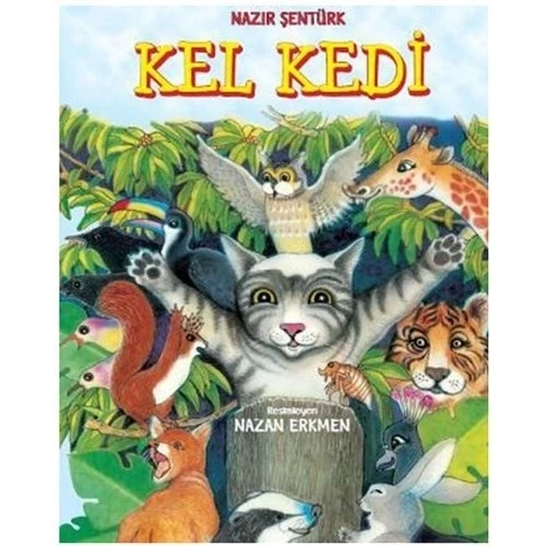 KEL KEDİ  DOĞAN EGMONT