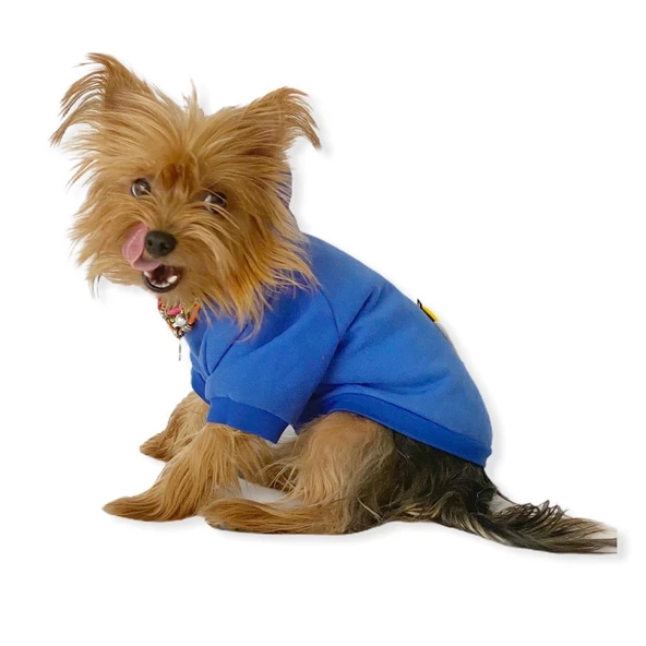 Athletique Arılı Köpek Süeteri Köpek Kıyafet Elbise - 3