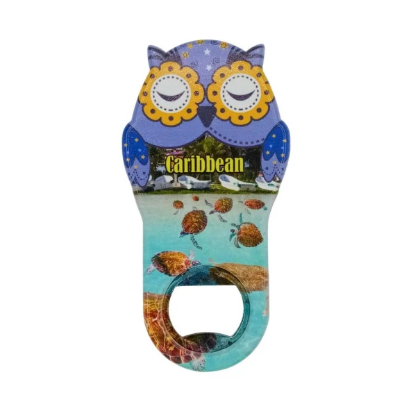 Karayipler Temalı Baykuş Magnet Kapak Açacak ürün görseli
