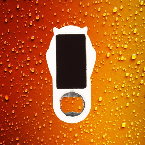 Karayipler Temalı Baykuş Magnet Kapak Açacak - Resim 2