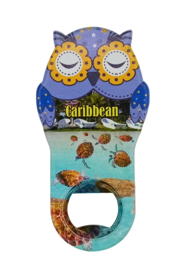 Karayipler Temalı Baykuş Magnet Kapak Açacak - Resim 3