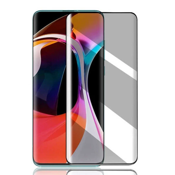 Oppo Reno 2Z New 5D Privacy Temperli Ekran Koruyucu