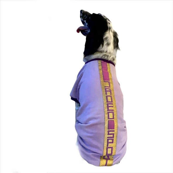 Purple Gold Sport Tişört Orta ve Büyük Irklar İçin - 5