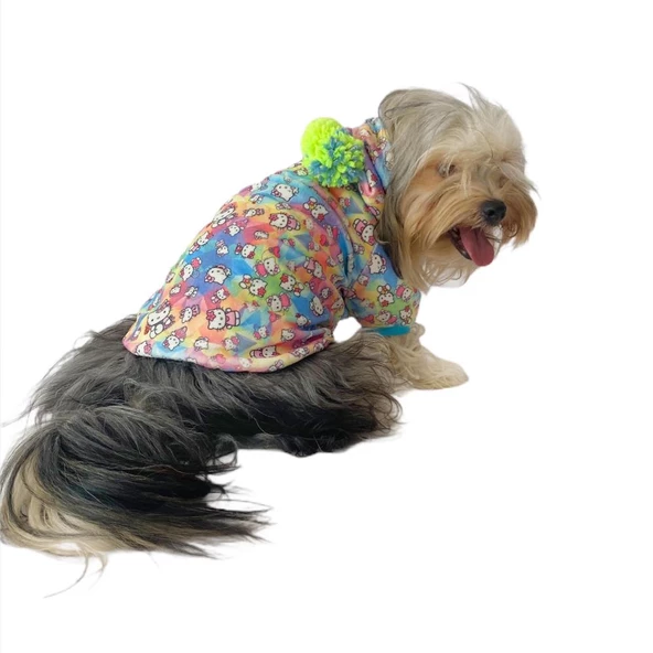 Kitty Kapşonlu Sweat by Kemique Köpek Kazağı - 2