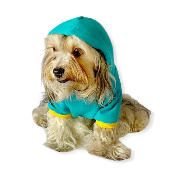 Blue Bear Kapşonlu Köpek  Sweat by Kemique - 5