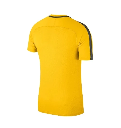 NİKE M Dry Acdmy18 Top Ss Erkek Futbol Tişörtü 893693-719 - 2