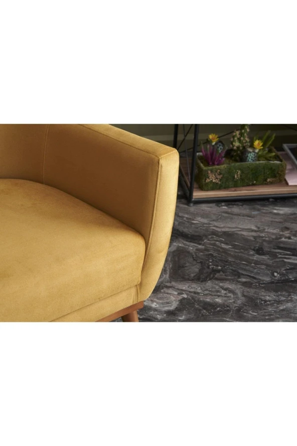 Evdebiz Gonca Berjer Gold - 2