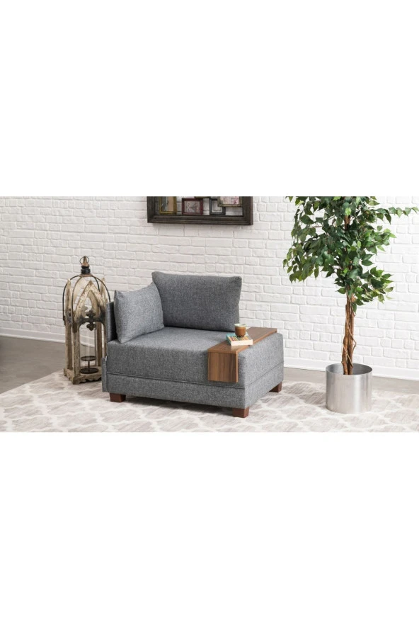 Evdebiz Fly Tekli Koltuk Gri Sol - 3