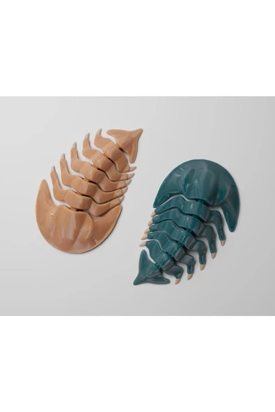 Trilobit Dekoru 11 cm