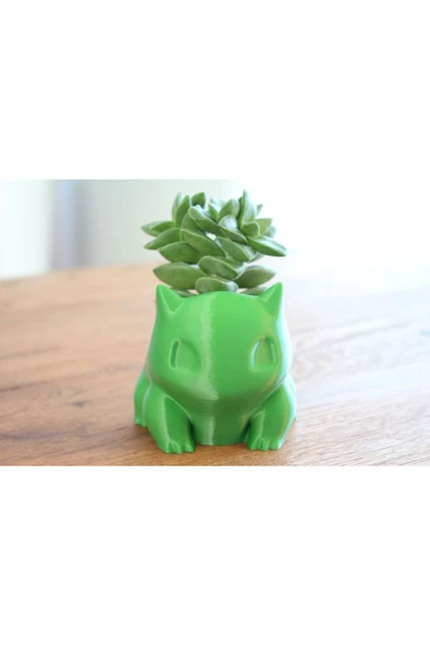 Yapraklı Kertenkele Skulent Saksısı 7 Cm