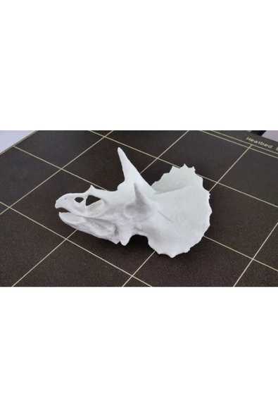 Triceratops Kafası Dekoru 15 Cm