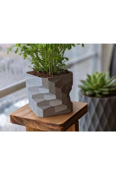 Merdiven Basamakları Saksı 9 Cm