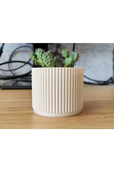 Dikey Düz Çizgili Skulent Saksısı 8 cm