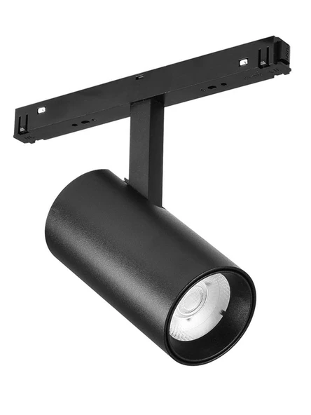 MAGNET RAY SPOT 20W ürün görseli